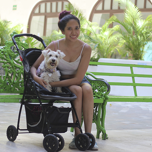 Aceptamos mascotas hotel tortuga acapulco